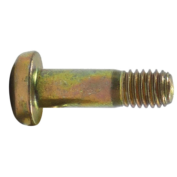 NAS623-3-6 Alloy Screw