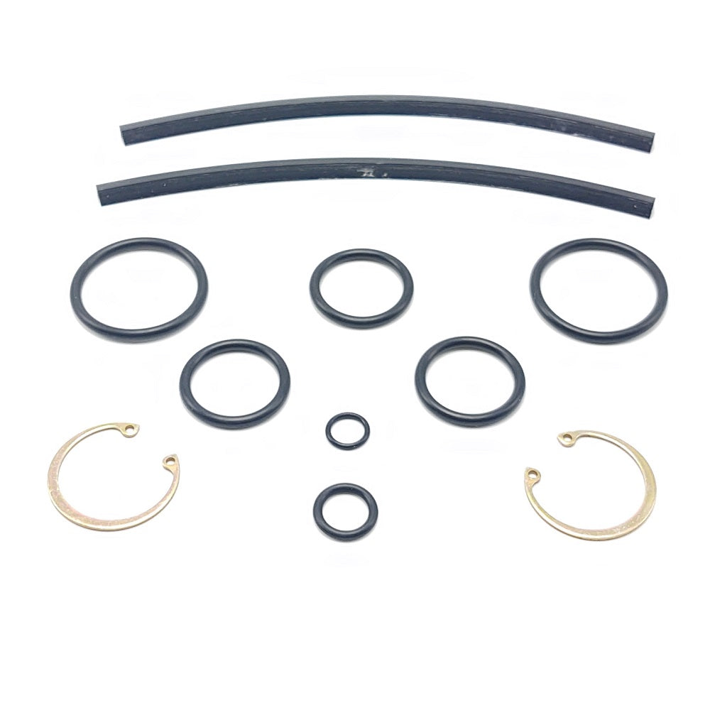 Plane Parts - Bellanca 17-30A / 17-31A / 17-31Atc Main Strut Seal Kit