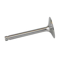 Superior SL11901 Valve, Intake