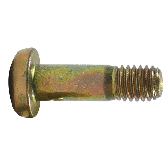 NAS623-3-6 Alloy Screw