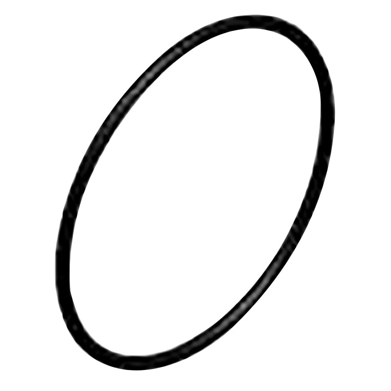 Replacement O-Ring For GaS500
