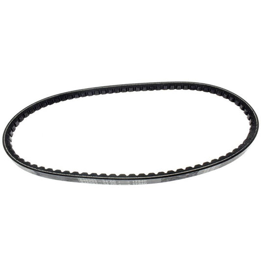 TCM 646293-34.00 Belt-V-Hc 50