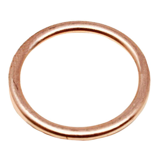 06E19769-1.00 Lycoming Annular Gasket 1.000 Id