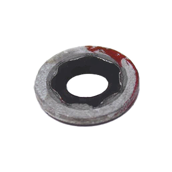 TCM Washer - Seal.304X.625X.050 538600