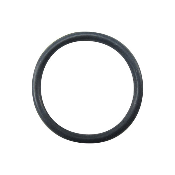 TCM Seal-O Ring .676 I.D. AS3578-017
