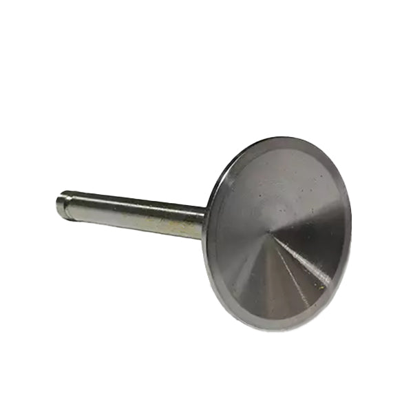 Superior SL73938 Valve, Int.