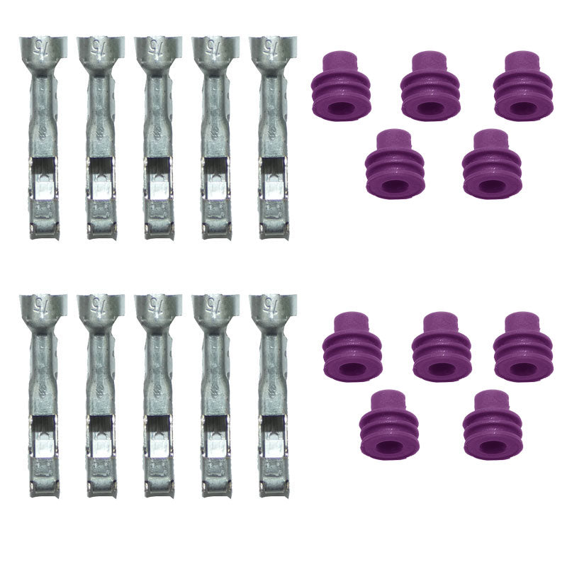 SPT Fuse Relay Panel Purple Seal And Terminal Kit 18-16