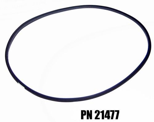 Cylinder Base Seals