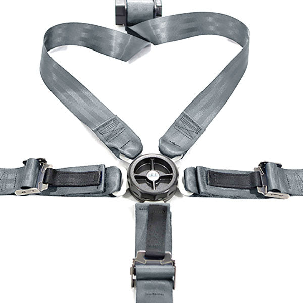 ABI Ces Caravan Pilot/Copilot 5-Pt Gray