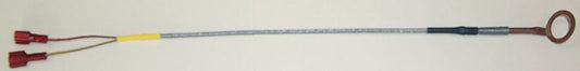 Electronics International P-102 CHT Probe