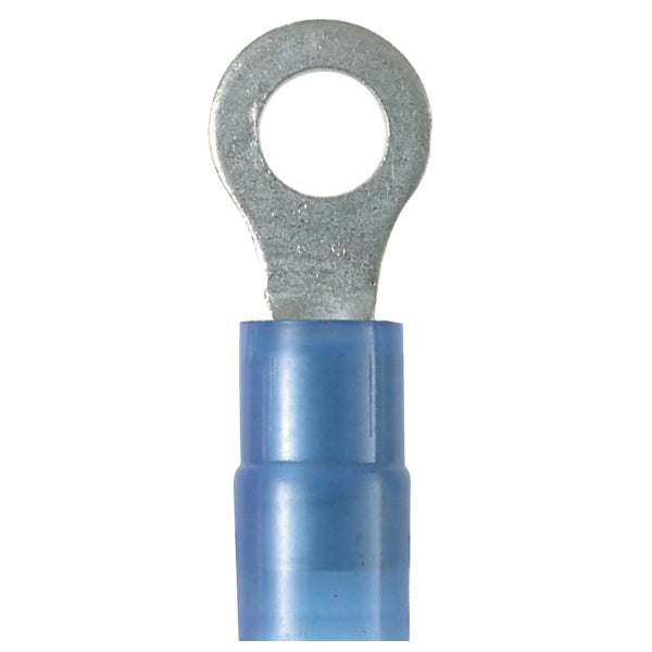 TE PIDG Ring Tongue Terminal 14-16Awg 1-2.5MM 1.02MM 31906