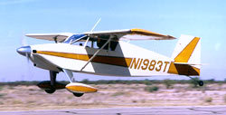 Tailwind Plywood Kit